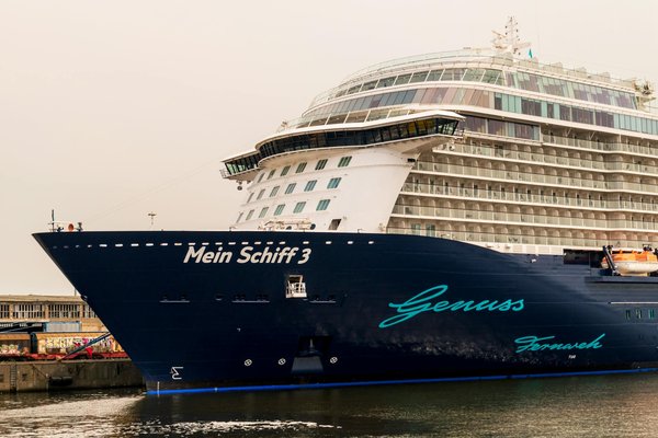 Comment choisir la meilleure période pour observer la faune sauvage lors de votre voyage ?